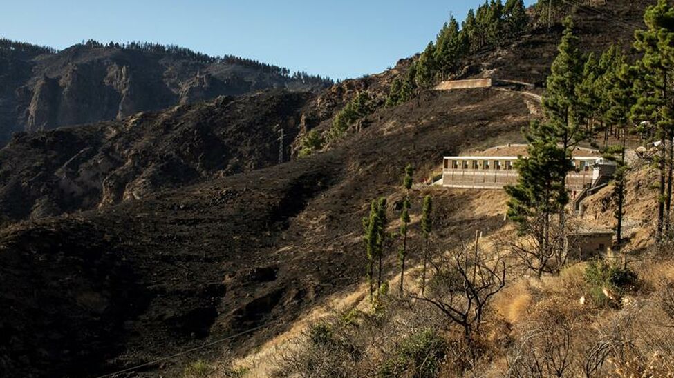 Cahora's tweet photo. 🔴🔴 🔥🔥 Regresa a casa la mitad de los evacuados por el #IFGranCanaria https://t.co/ZCs2HrFQ3B https://t.co/zmZ9iFKSyz