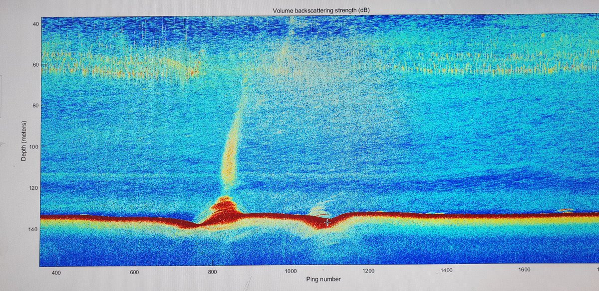 Deniz__cukur's tweet photo. Stunning gas seeps from southern shelf of Korean Peninsula! #EK60 #KIGAM  #gas seeps https://t.co/QrdpGd8Q0x