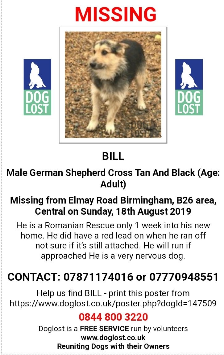 MissingPetsGB's tweet photo. 🐕 BILL #sighted last night at 9pm between land rover &amp; renewal church . Anyone in that area please please check your gardens
#BringBillBack
Bill was spotted 3 times Monday night.
1. 7pm Cov Rd McDonalds Sheldon
2. 9.50 Lincoln Road North, Olton
3. 11.00 Richmond Road, Olton https://t.co/oREAmKVzr0