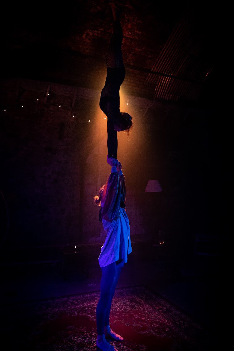 Feathers of Daedalus Circus tweet media