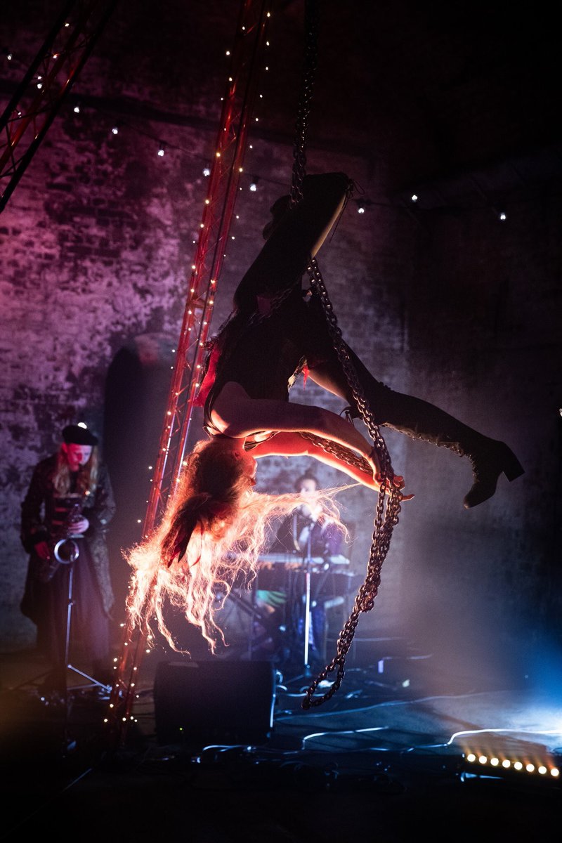 Feathers of Daedalus Circus tweet media