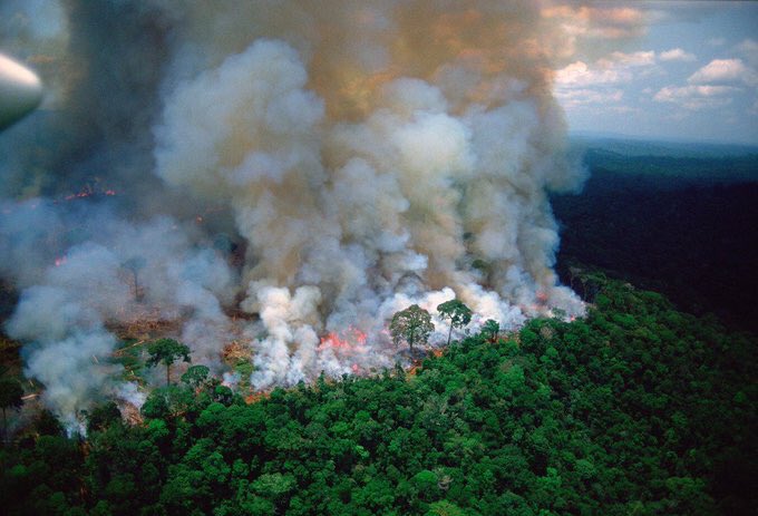 rollings_dante's tweet photo. If you  ain't in brazil and have no clue whats happening ....
The largest rain forest on  planet earth  (Amazon) is on fire 🔥 for the 16th day
Surprisingly media is giving no fuck about it 😡 
 #PrayforAmazonas
estamos com você em oração e coração, o brasil é o lar de mim🙏🏾 https://t.co/9funk3vGEq