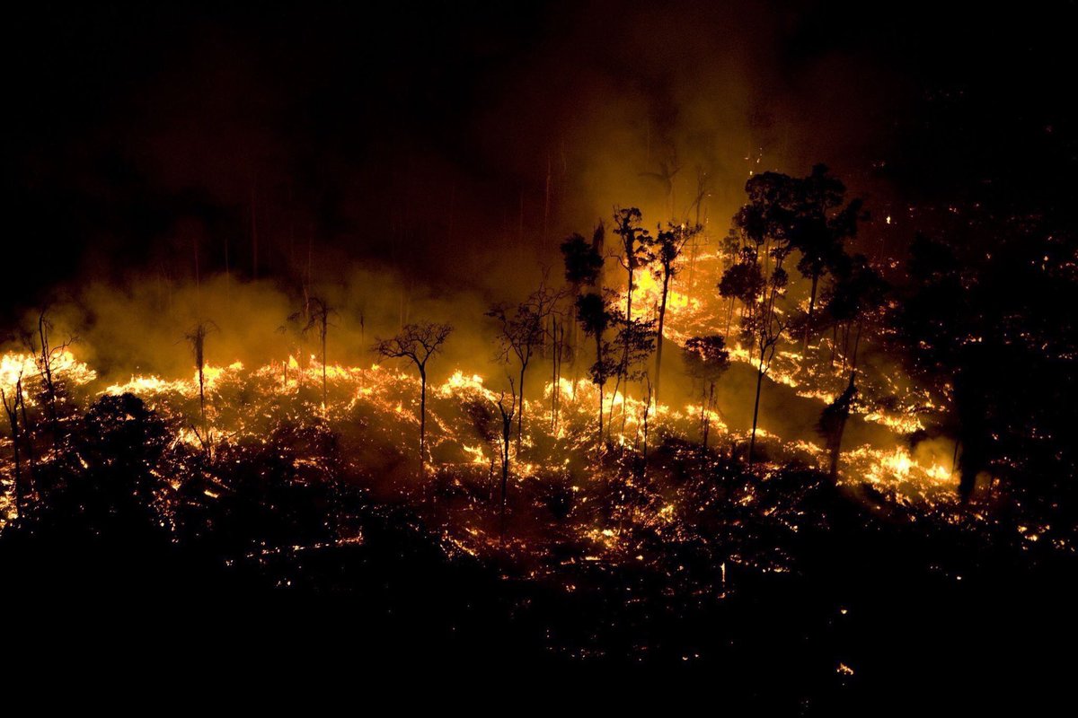 rollings_dante's tweet photo. If you  ain't in brazil and have no clue whats happening ....
The largest rain forest on  planet earth  (Amazon) is on fire 🔥 for the 16th day
Surprisingly media is giving no fuck about it 😡 
 #PrayforAmazonas
estamos com você em oração e coração, o brasil é o lar de mim🙏🏾 https://t.co/9funk3vGEq