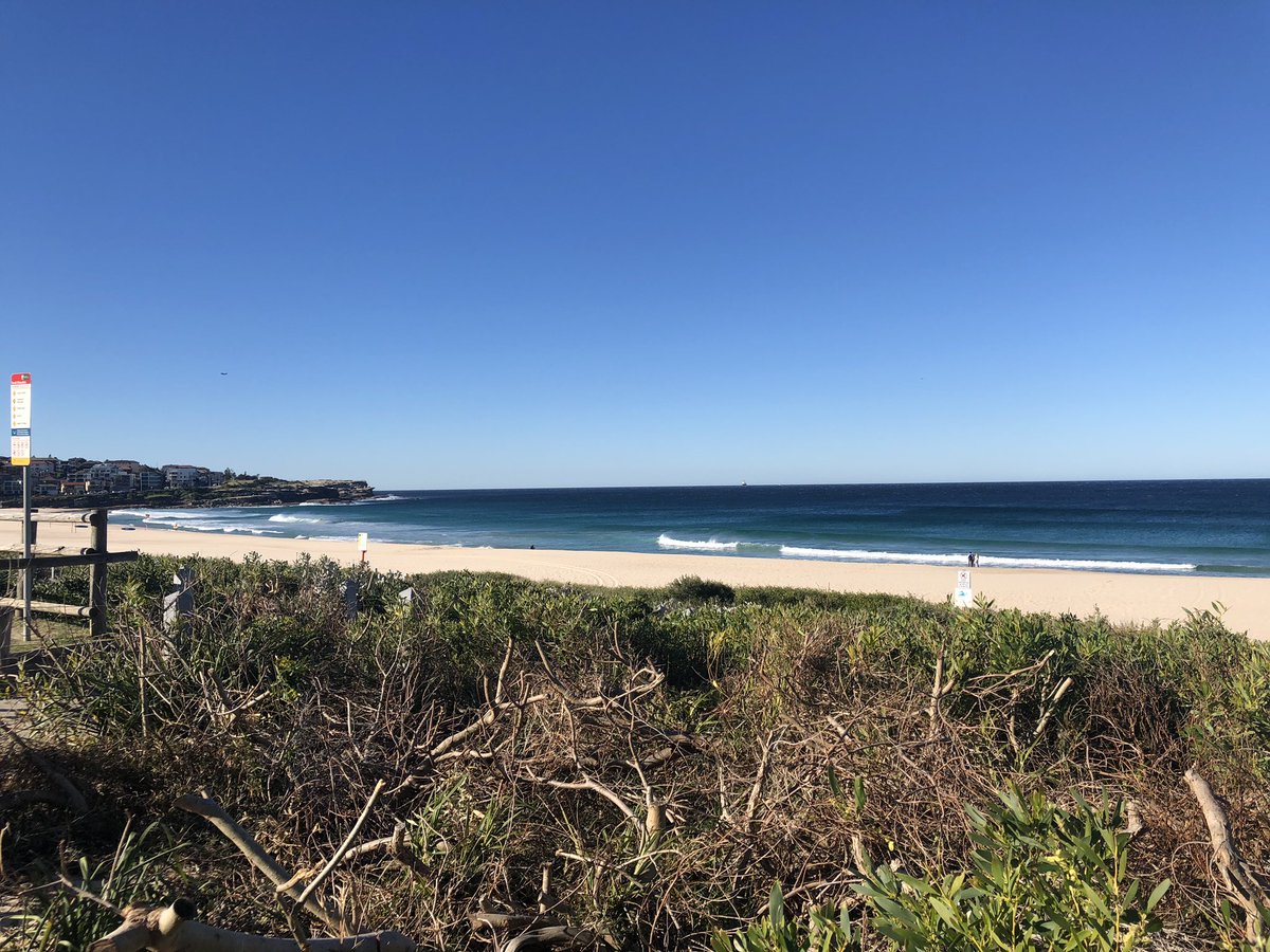 AdelaideDedden's tweet photo. Had great fun teaching the first #marenvs19 field trip at Maroubra beach on beach morphology and safety @unswbees https://t.co/YqAu5FV6Hk