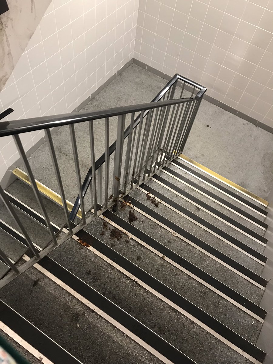 lou shannon tweet media