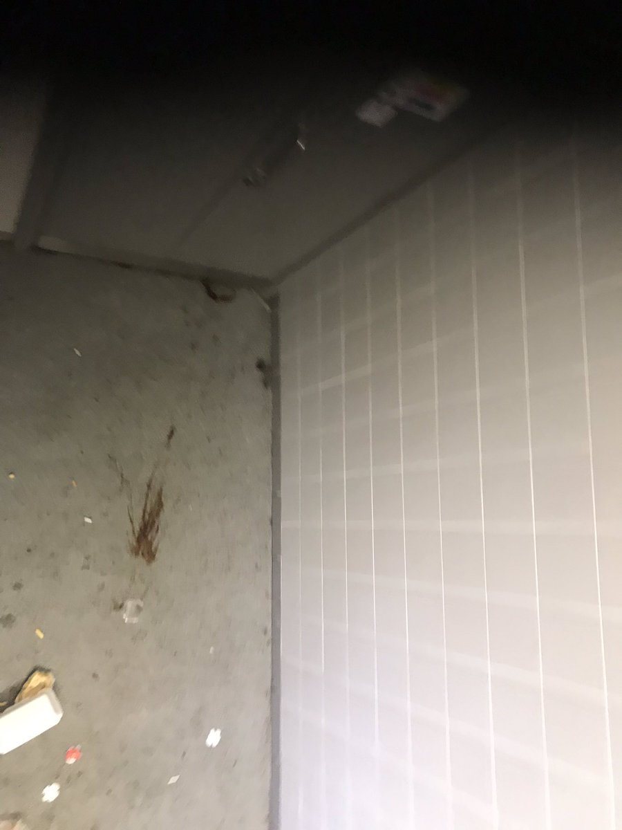 lou shannon tweet media