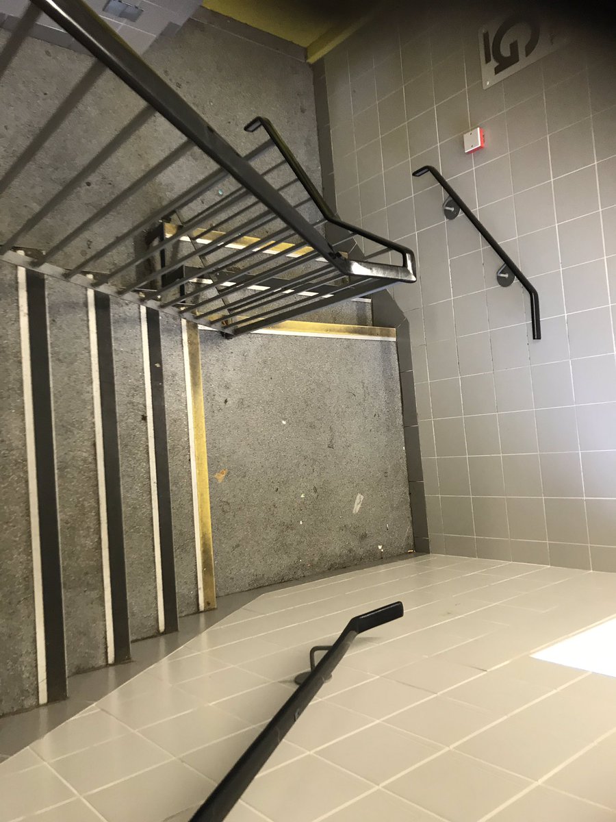 lou shannon tweet media