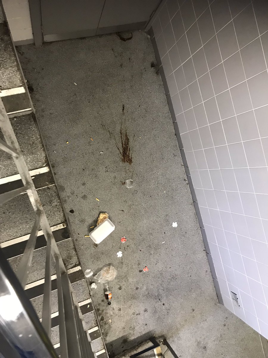 lou shannon tweet media