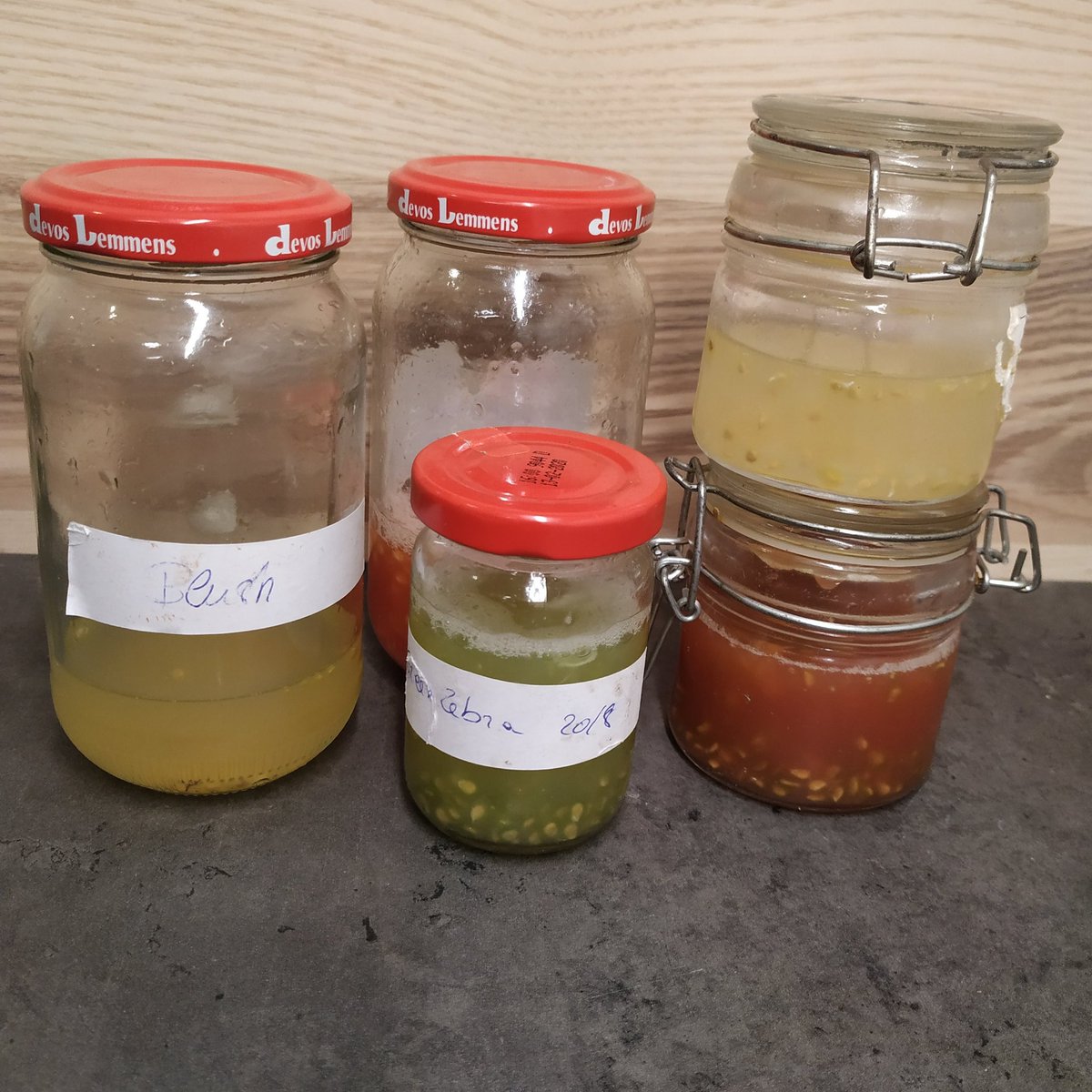 peaches_pepper's tweet photo. Tomato deze fermentation
#tomatoes #seeds #zaadjes #fornextyear #tomatoeseeds https://t.co/V7SRpwfbC9