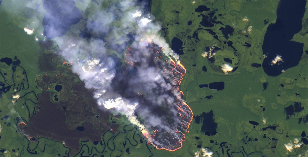 javier_ruescas's tweet photo. El Amazonas está ardiendo y yo me acabo de enterar. Ningún medio le está dando ningún bombo. ¿Estamos demasiado lejos de Brasil? ¿Es muchísimo más relevante que Spiderman ya no sea de Marvel? Tenemos la brújula de prioridades descompensada... 😔! #PrayforAmazonia https://t.co/T5Izh3fdfk