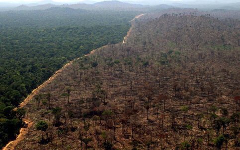 javier_ruescas's tweet photo. El Amazonas está ardiendo y yo me acabo de enterar. Ningún medio le está dando ningún bombo. ¿Estamos demasiado lejos de Brasil? ¿Es muchísimo más relevante que Spiderman ya no sea de Marvel? Tenemos la brújula de prioridades descompensada... 😔! #PrayforAmazonia https://t.co/T5Izh3fdfk