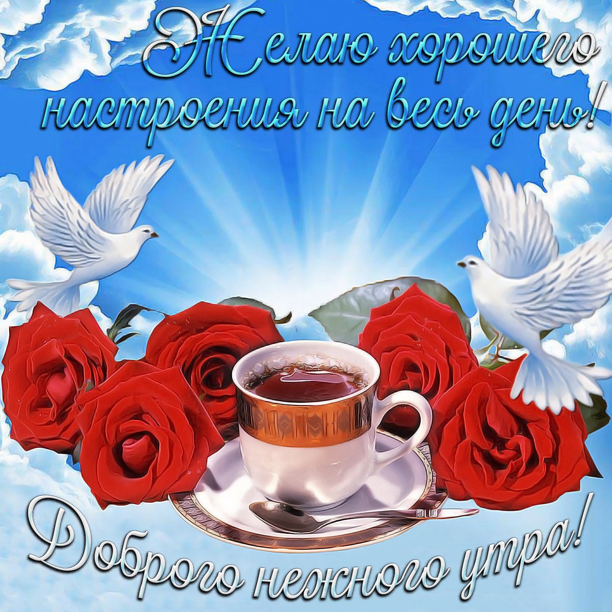 Смешариками картинки, открытка роза с пожеланиями доброго утра