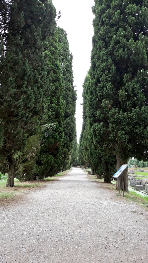 VisitFVG's tweet photo. Passeggiata lungo la via Sacra all'ombra dei cipressi per visitare il porto fluviale di #Aquileia scoprendo reperti e scavi romani.

#fvglive #archeobus https://t.co/OO3ylwNgcC