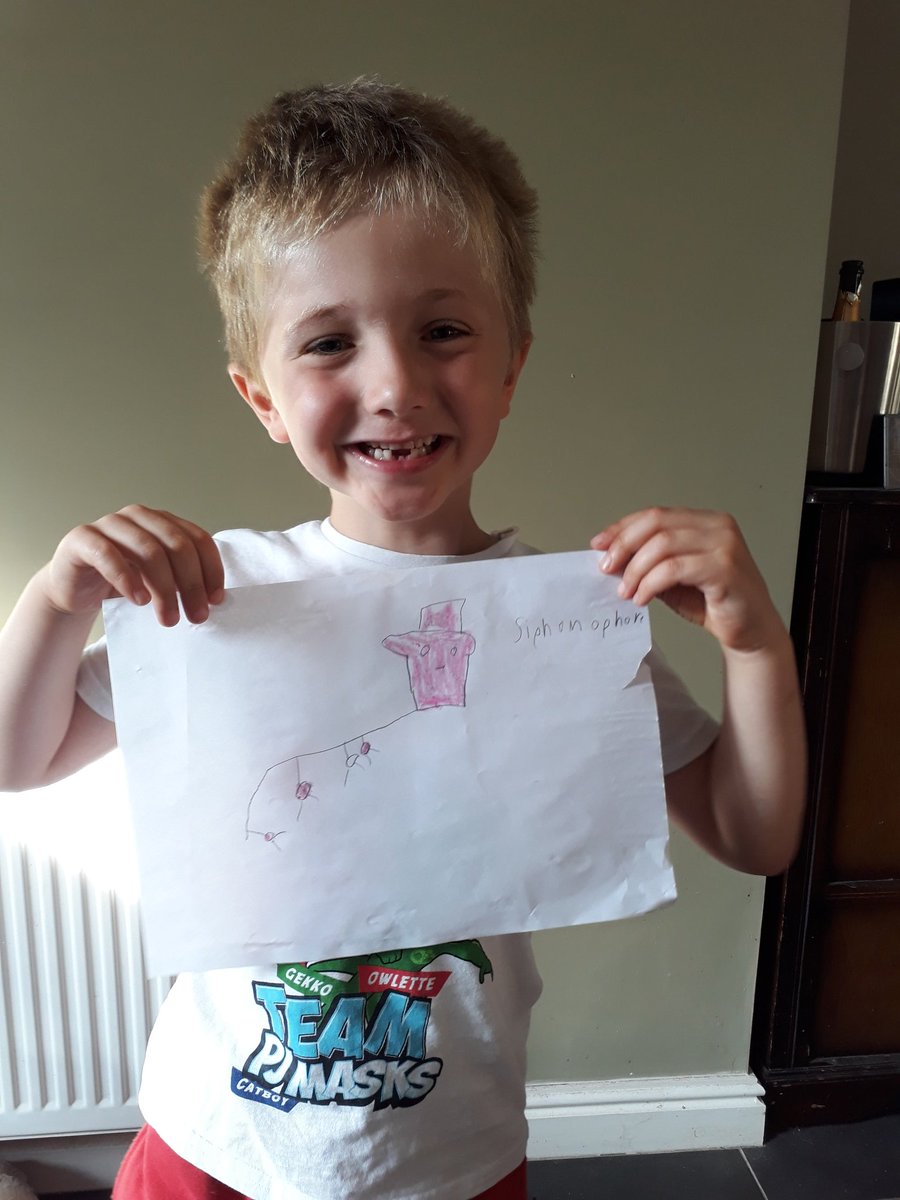 amyturtle984's tweet photo. After watching @Octonauts this morning on @CBeebiesHQ Nate drew a Siphonophore and spelt it too - with a little help 😁 https://t.co/a1PliqMTU9
