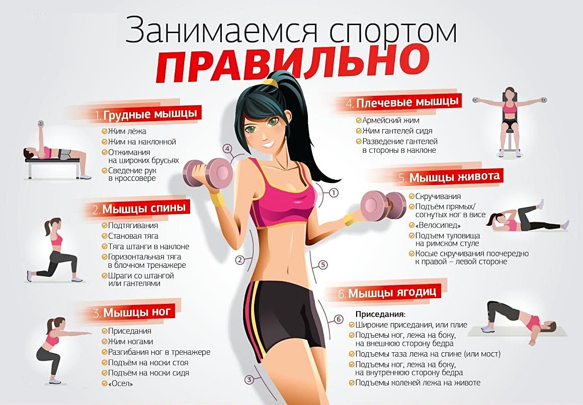 Правила Во Время Похудения. Как похудеть: 10 золотых правил избавления от лишнего веса