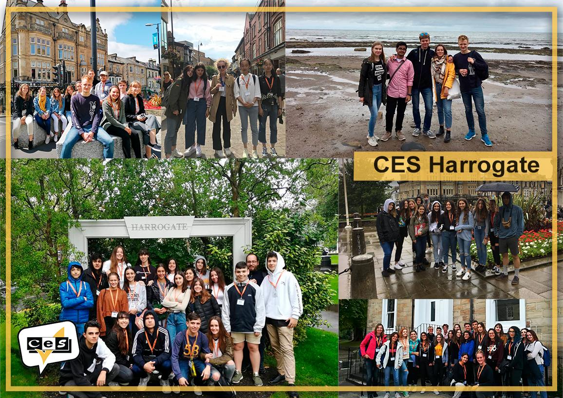 CESschools's tweet photo. Are you studying English in Harrogate? 
Here are three places you cannot miss:
☕ Bettys Cafe Tea Room. 
👀 Nidderdale Museum.
🌺 Valley Gardens.

Ready to join #CESHarrogate? Discover our programmes: 
https://t.co/BMKvCodJuf

#harrogate #uk #studyabroad #LearnEnglish https://t.co/iTp3fuRKga
