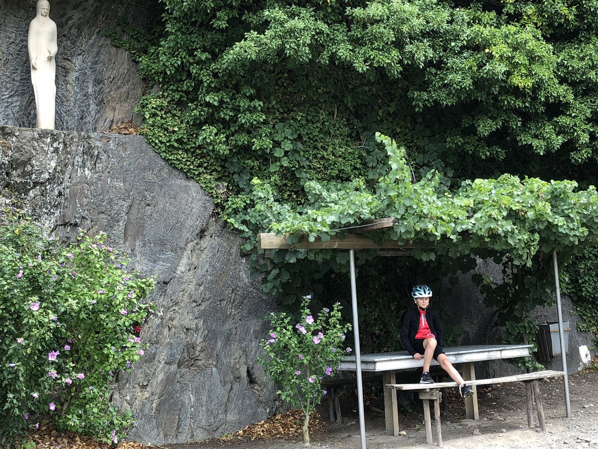 morikkey1's tweet image. So much math living in these vineyards of the Mosel Valley in Germany. Biking with my daughter she asked, “how many bunches make a bottle? How many rows are there? How much water is used?” #realmath #xtablesinaction