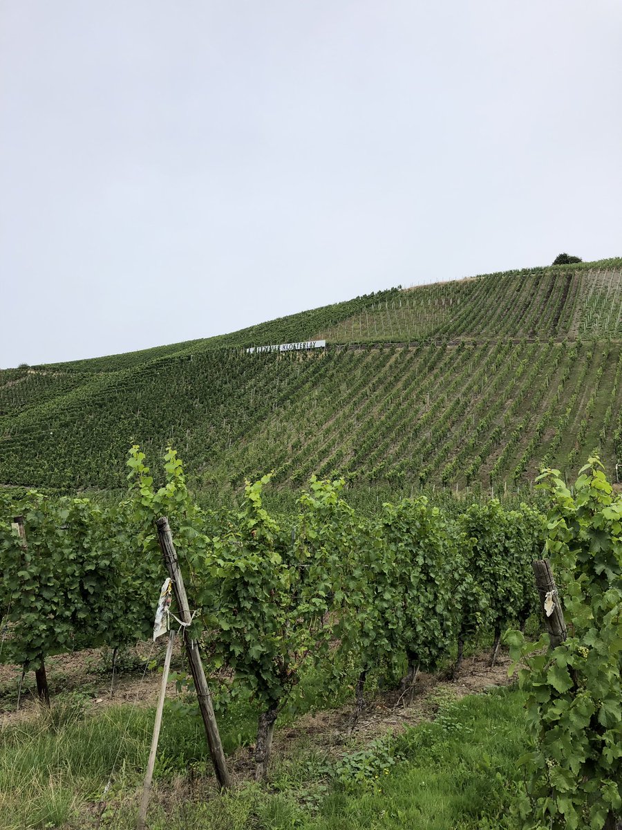 morikkey1's tweet image. So much math living in these vineyards of the Mosel Valley in Germany. Biking with my daughter she asked, “how many bunches make a bottle? How many rows are there? How much water is used?” #realmath #xtablesinaction