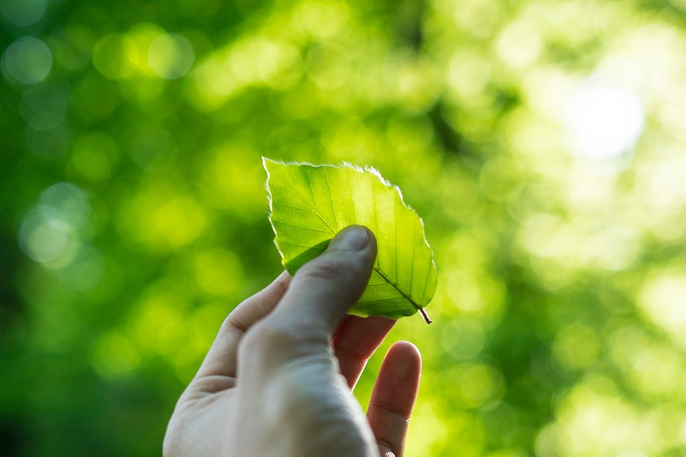 {Écologie} Nouveau post: "Empreinte carbone: mon bilan actuel et mes objectifs" 💗🌿  bit.ly/30mlwCX