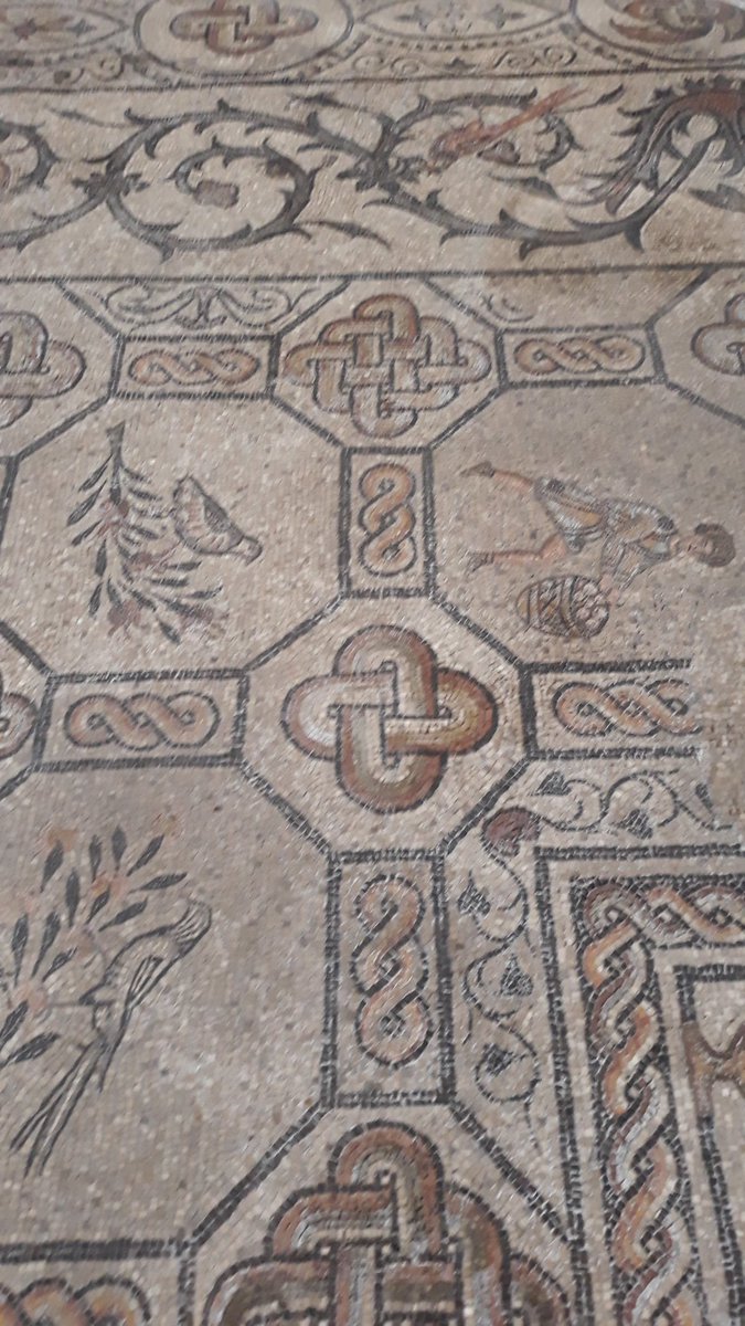 VisitFVG's tweet photo. Scopriamo attraverso i mosaici le varie fasi di costruzione della basilica di # Aquileia

https://t.co/skuEJIS0Z1

#fvglive #Archeobus https://t.co/G8RQMGwcqy