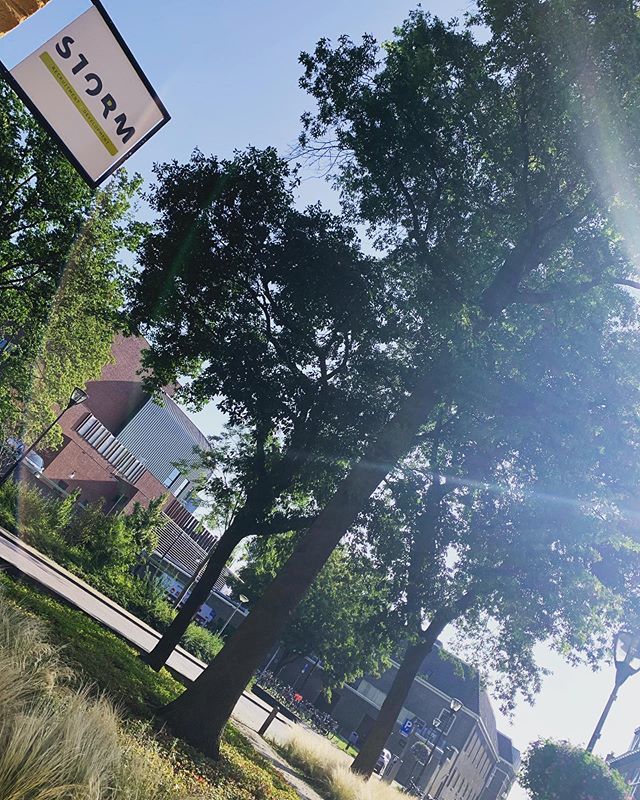 Back in business @storminrecruitment!! 🌪💪🏼☀️💥 #recruitment #wervingenselectie #detachering #interim #ondernemen #consultancy #zwolle #netherlands #business #zinin