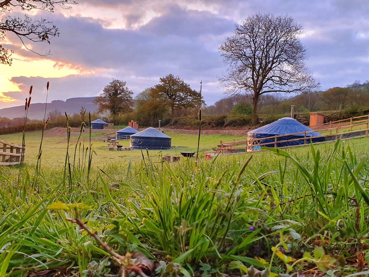 Camping_Direct's tweet image. Located in the heart of the Cothi Valley, Brechfa Glamping is ideal for families, walkers, cyclists &amp;amp; those simply looking to get away from it all.
camping-directory.uk/3151
#Tirbach #Brechfa #Carmarthenshire #Wales #CothiValley #Alpacas #Holiday #Glamping #Outdoors
