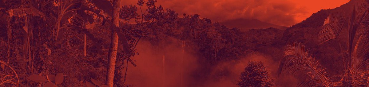 hackandcraft's tweet photo. How #drones are helping to protect the environment: https://t.co/vlh80Fdbzy by @duncanjefferies for @hackandcraft #ClimateChange #environment #AI #MachineLearning #innovation #technology #alwaysbeiterating #COTSbot @BioCarbonEng @RanMarineTech @WildTrackFIT @SergeWich https://t.co/olDfWySmei