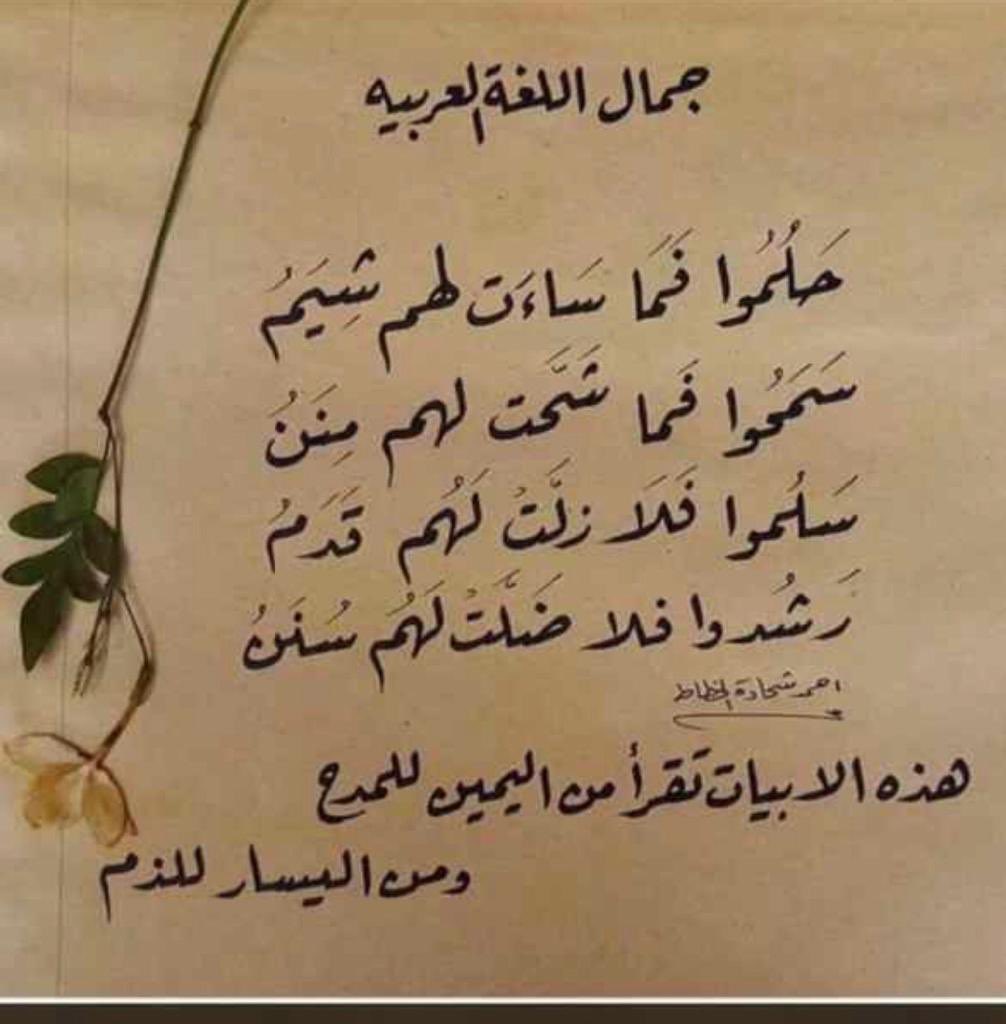 Maha M Al Dabbagh tweet media