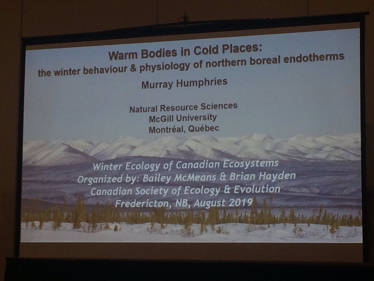 ‘Whatever varies the most, matters the most” Murray Humphries discusses how hares can survive the Yukon where temperatures vary from -40 to +30C. Great work by <a href="/ekstudd/">Emily Studd</a> and @akmenzies!#EcoEvoEnto2019 #CSEE2019
