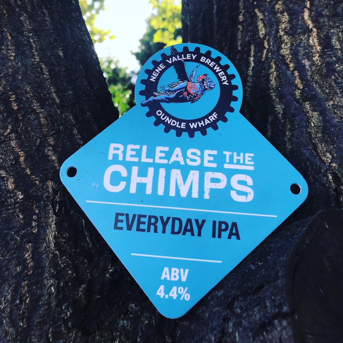 FatCatTap's tweet photo. Fresh on at the Tap:
@nenevalleybrewery Release The Chimps 4.4%
Get your humpday beer fix with this session IPA
#norwich #norfolk #pub #freshon #realale #caskbeer #humpdaytreat https://t.co/mBdtv5Bkwt