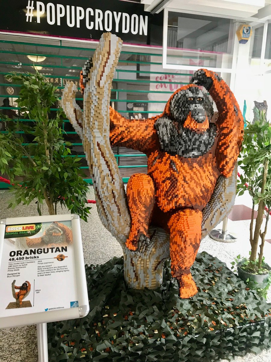 Croydon Partnership tweet media