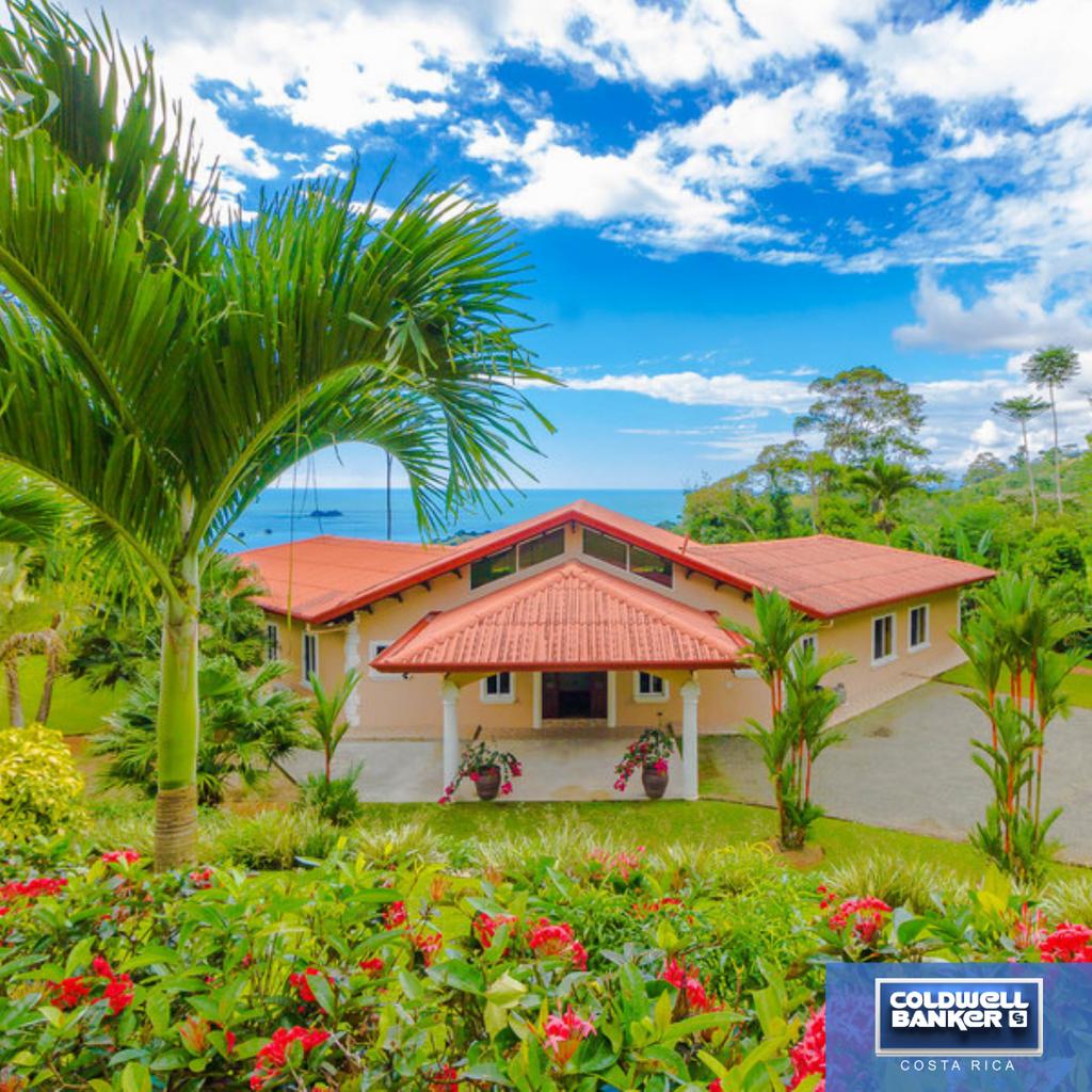 Gorgeous 3 BR Home plus 2 BR guest home in Ojochal
coldwellbankercostarica.com/property/10584/
#ojochal #discoverojochal #ojochalproperties #ojochalrealestate #costaricahomes #homesincostarica #ojochalhomes