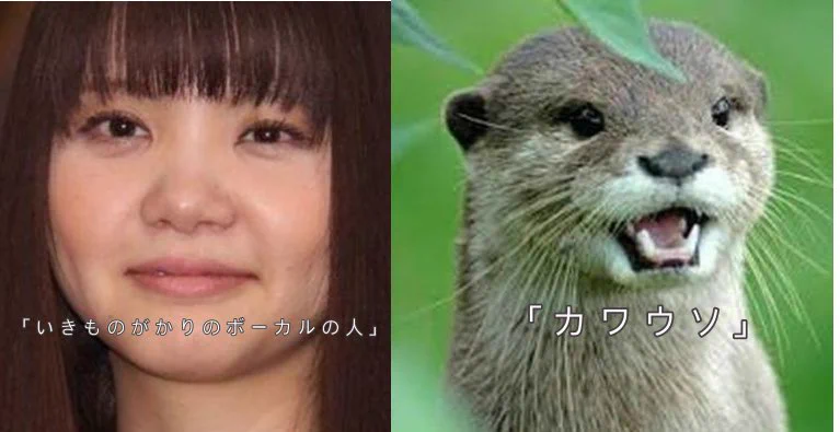 ぱっと見ではわからない？見分けの付かない有名人達www