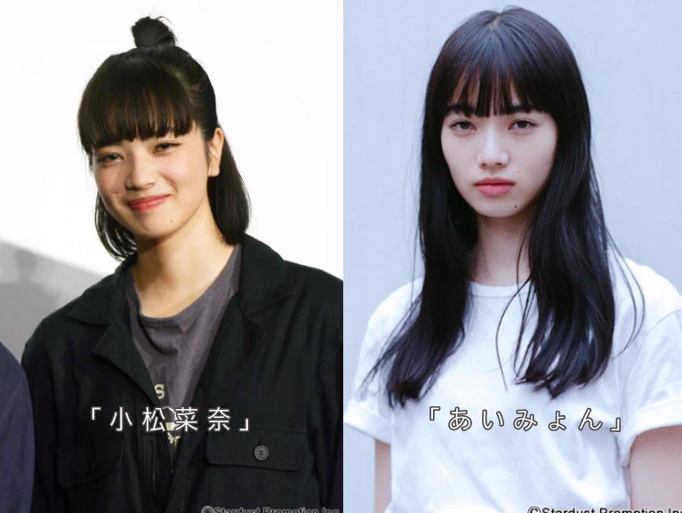 ぱっと見ではわからない？見分けの付かない有名人達www