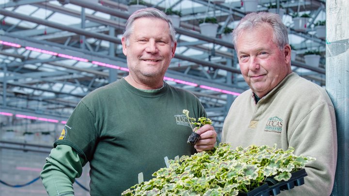 PhilipsHorti's tweet photo. Want to know how Lucas Greenhouses from New Jersey, USA is now providing #sustainable and #efficient #light levels for their vegetative liners with #GreenPower #LED #toplighting ? Look no further and read and watch their story here https://t.co/sWa6ysS72b #switchongrowth https://t.co/jlQMlkHPXH