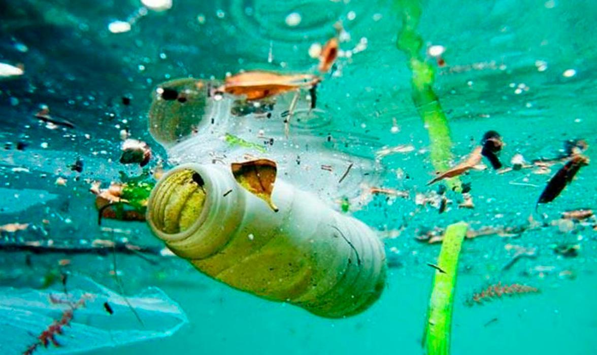PLSPOOLING's tweet photo. ¿Feliz verano? Protege el mar, por favor. 🚮 https://t.co/OCNWX8xyxK