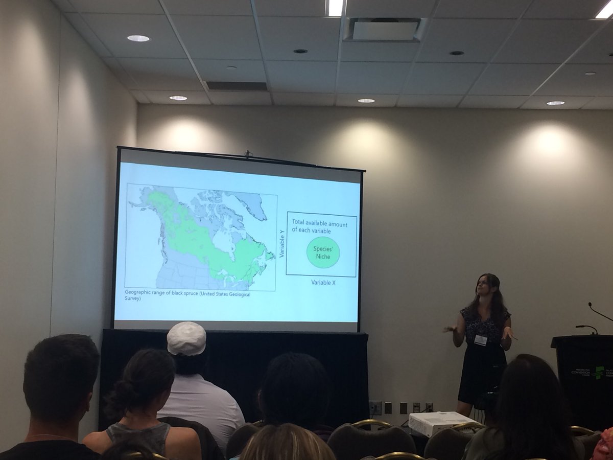 jenvsull's tweet photo. Great presentation by @katie_gwin on demographic niche shift of black spruce at tree line! #EcoEvoEnto2019 #NorthernEDGELab https://t.co/V5HhDZCfpw