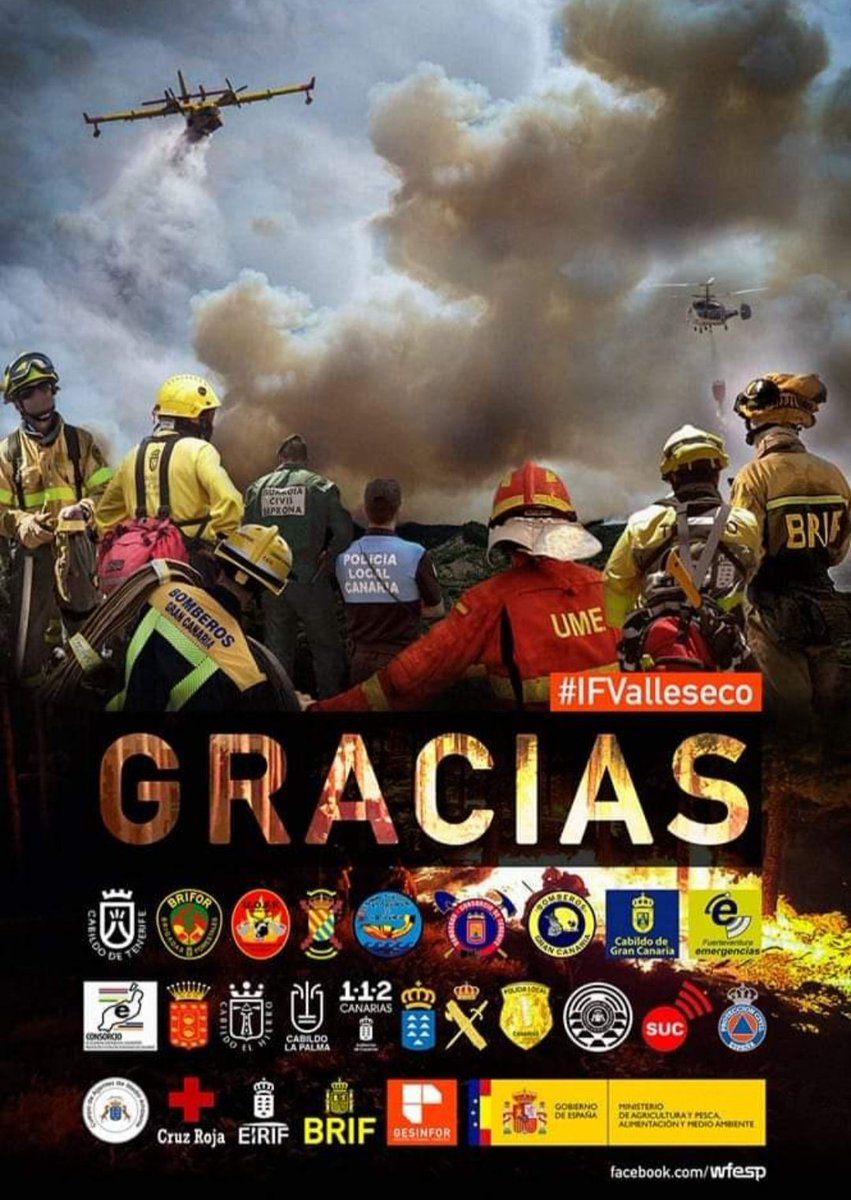Liliana_MOO's tweet photo. Acabo de ver esta maravilla de foto en las redes y ahí están todos nuestros héroes. No hay GRACIAS suficientes para ellos 🙏💞. #IFValleseco #IFGranCanaria https://t.co/UnGO9CuyDQ