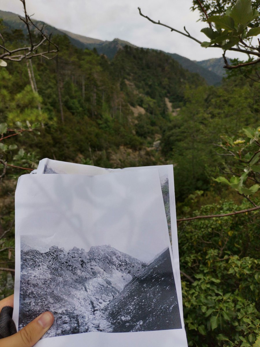 TopogArt's tweet photo. @ParcoBeigua Comparison of 1924 Forestry Commission photograph and present day landscape @LeverhulmeTrust https://t.co/MBt0YL5VjO