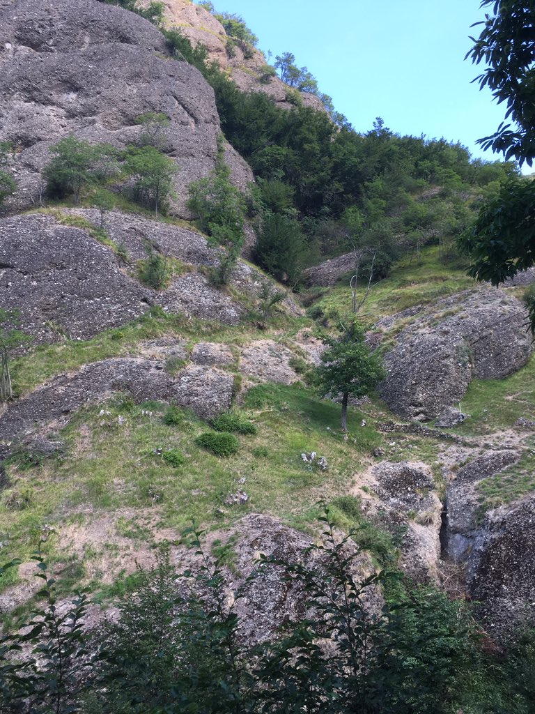 TopogArt's tweet photo. Field survey in Monte Maggio above #Savignone, @parcoantola, comparing the current terrain with an oil painting by Serafin De Avendaño (c. 1870) @LeverhulmeTrust https://t.co/8gwR2u0sjj