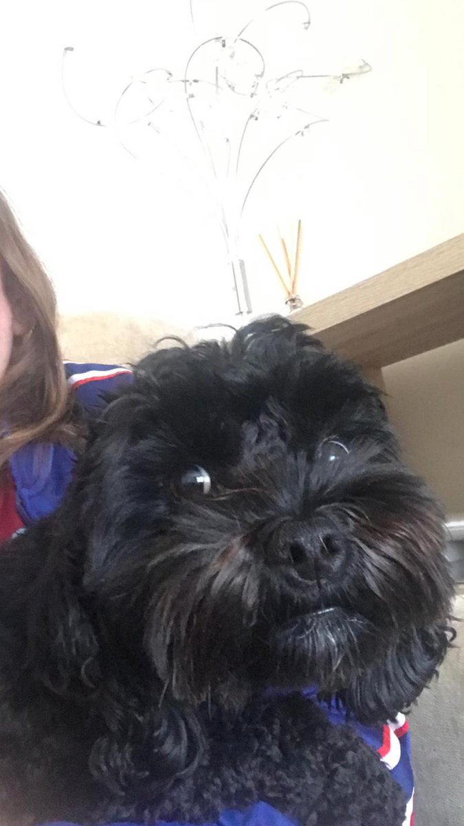 Trainingmycsp's tweet image. Who said you can&apos;t teach an old dog new tricks? Maisie certainly learned a few new things at Clare&apos;s pension power session today.
#civilservicepensions #pensionpower #cutedogsoftwitter