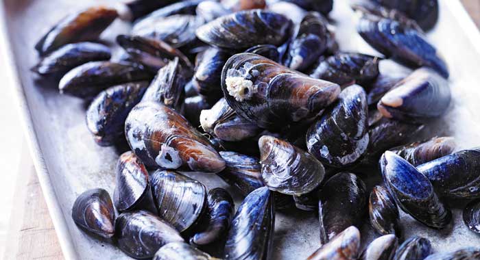MSFOMA1's tweet photo. When buying #mussels, the shells should be bright, undamaged and closed. Open mussels should be given a squeeze and a tap – if they close they are still alive; if not they are dead and unfit for consumption.
#foodsafety2019 https://t.co/ociJfdq9XA