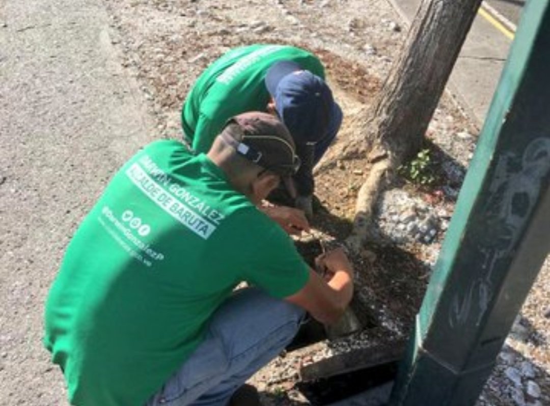 BarutaReporta's tweet photo. Vamos más allá de nuestras competencias trabajando diariamente para nuestra comunidad y así traer nuestra #CalidadDeVida
Esta vez trabajamos en la Av. Ppl El Cafetal con el programa #LuzParaBaruta
#AlcaldiaBaruta #BarutaReporta @SomosElCafetal https://t.co/T9WxSgr0fk