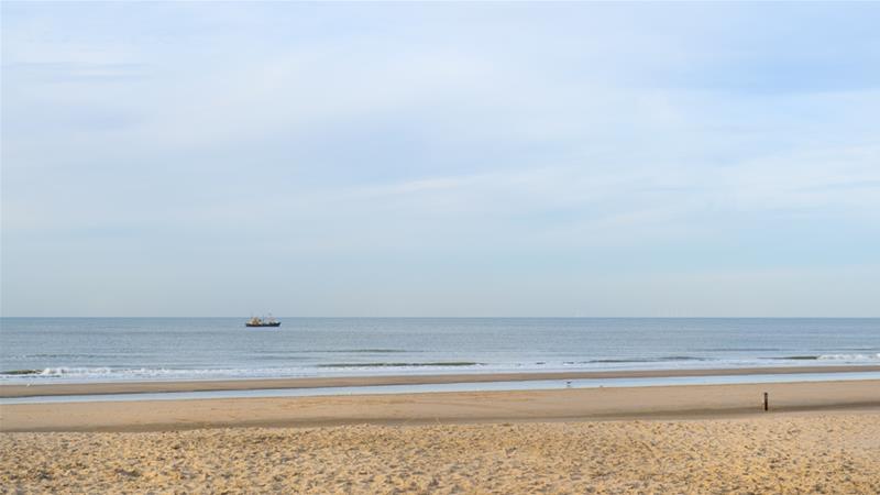 AJEnglish's tweet image. Thousands sign up for Brexit beach party in Netherlands, to bid a fond farewell to the UK aje.io/wl4wy