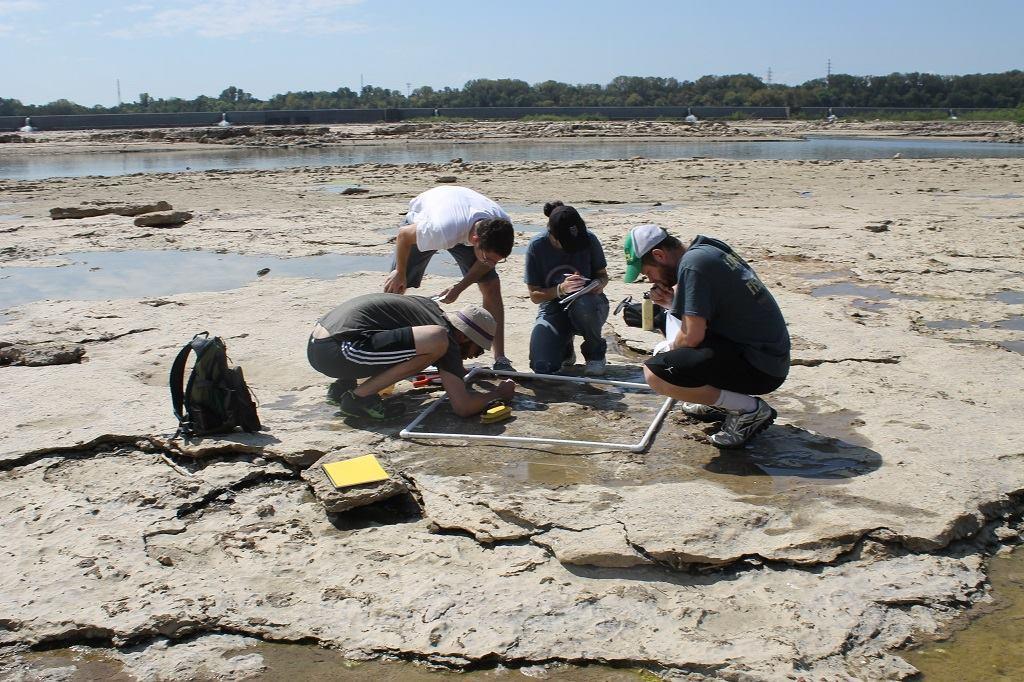 Did you know that southern Indiana is home to the largest exposed Devonian fossil beds in the world? Among these 390-million-year-old treasures are giant fossils measuring 50 feet long. You can explore the fossil beds at Falls of the Ohio State Park righ… bit.ly/2TfdJEv