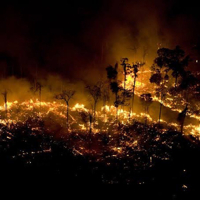 LISANATIONS_'s tweet photo. Amazon Rainforest, the most important forest in the world wich provides 20% oxygen on earth, is burning for 3 weeks. Let's spread the awareness to everyone. For the environment, for us.

#PrayforAmazonas https://t.co/SM986HKtNJ