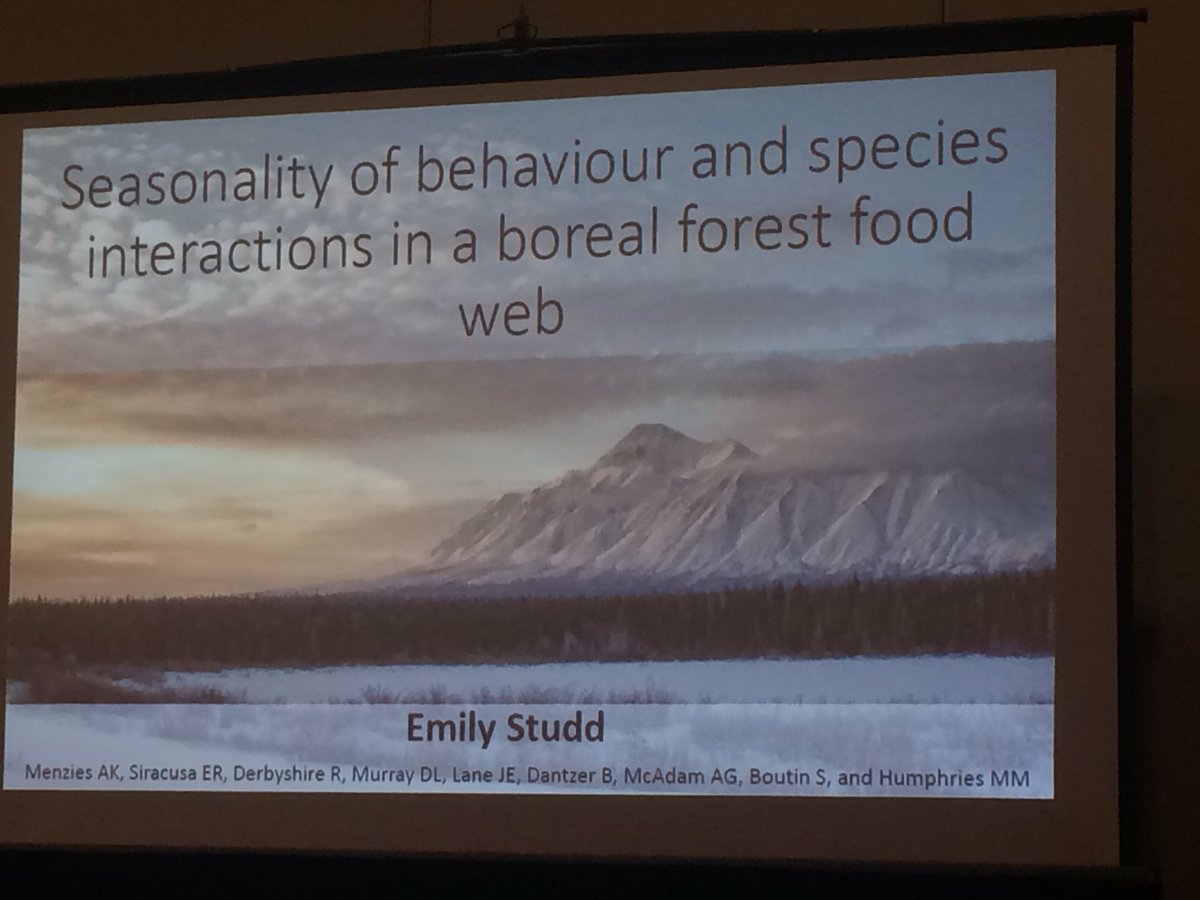 Daily activity is driven by environment and influenced by season. Great talk by <a href="/ekstudd/">Emily Studd</a> on her work on hares, lynx and squirrels.#EcoEvoEnto2019 #CSEE2019