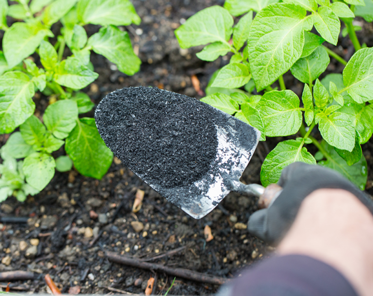 Soil_Fixer's tweet photo. Another Super Composter tester @allotmentjohn has written a very insightful blog post covering all things biochar which is well worth a read https://t.co/JOjLymqU8J #biochar #gardening #allotment #compost https://t.co/reoYJPmf0A