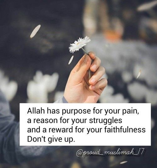 womeninislaam's tweet photo. https://t.co/2B2lWW70j9