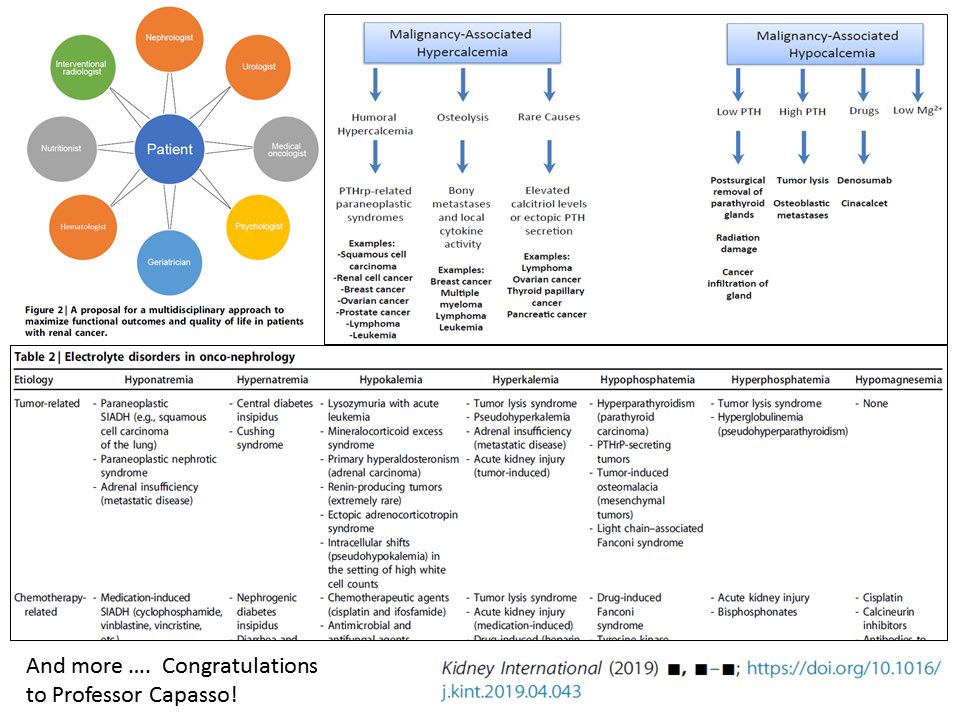 QiQian4's tweet photo. Onco Nephrology https://t.co/M5E5iyiR2Q